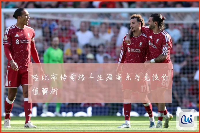 哈比布传奇格斗生涯高光与竞技价值解析