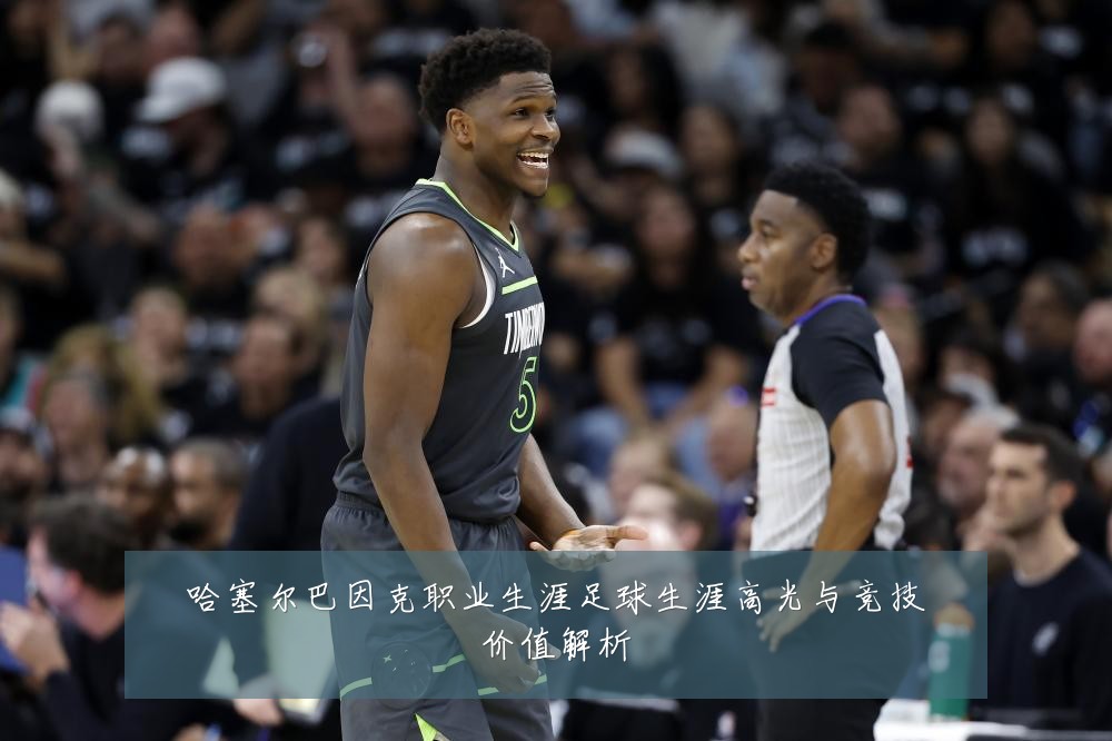 哈塞尔巴因克职业生涯足球生涯高光与竞技价值解析