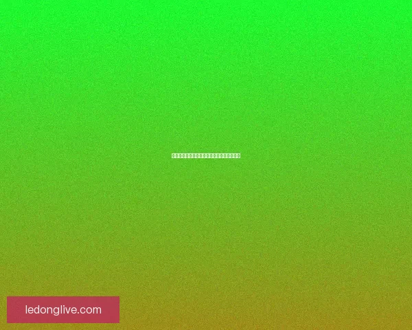 乐动体育官方平台全面升级带来全新运动体验