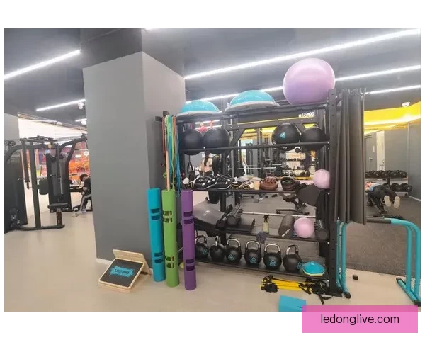 乐动体育APP：打造全新运动体验，实时赛事与个性化健身计划随时随地掌控