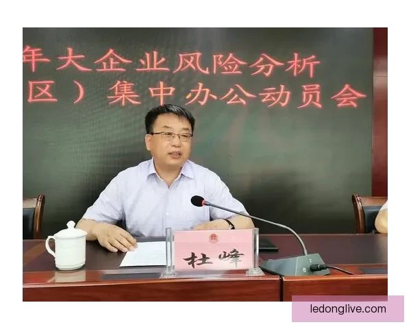 全面解析体育竞猜活动玩法策略与风险管理技巧