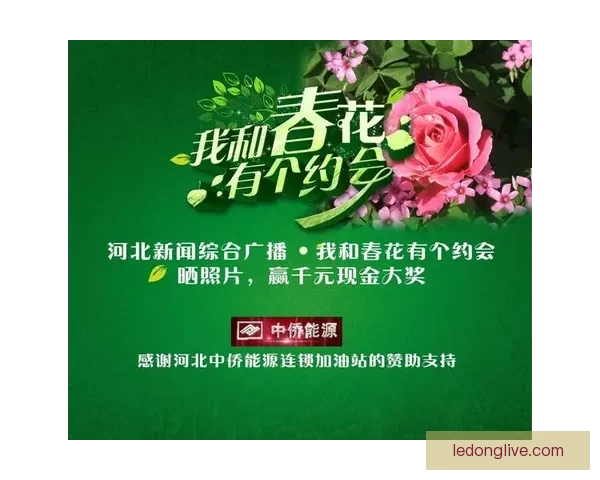 全新体育竞猜平台揭秘：智能预测助你轻松赢取大奖