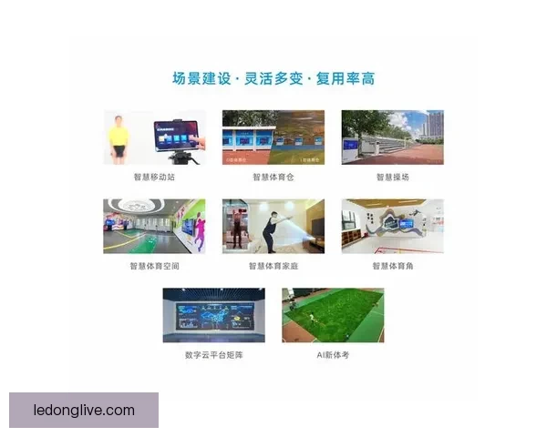 全新体育竞猜平台上线，智能分析助力精准投注体验